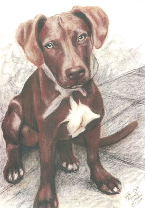 faehrtenhund
